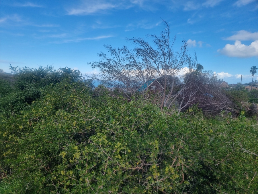 0 Bedroom Property for Sale in Dana Bay Western Cape